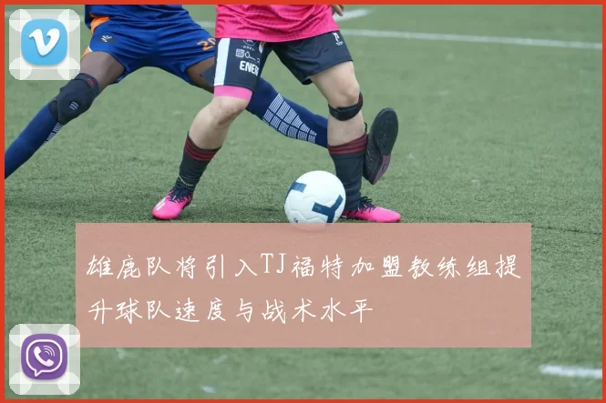 雄鹿队将引入TJ福特加盟教练组提升球队速度与战术水平